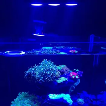 30W LED Full spectrum Jūros rifas bakas Patalpų Akvariumas Šviesos Sūraus vandens, Apšvietimo su Touch Control Koralų Rifų Žuvų Bakas