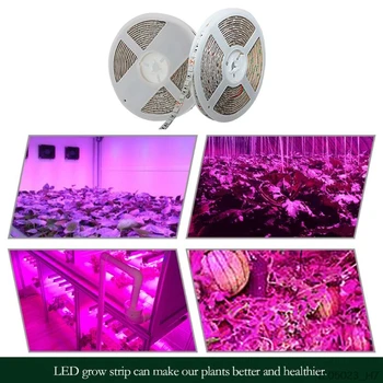 5m Visą Spektrą Augalų Augimo LED Šviesos Juostelės 5050 LED Lustas Augti Lempos, Skirtos Šiltnamio efektą sukeliančių Augalų Hydroponic